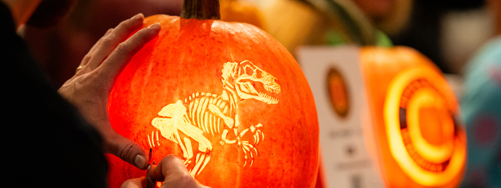 a pumpkin with a carved t-rx