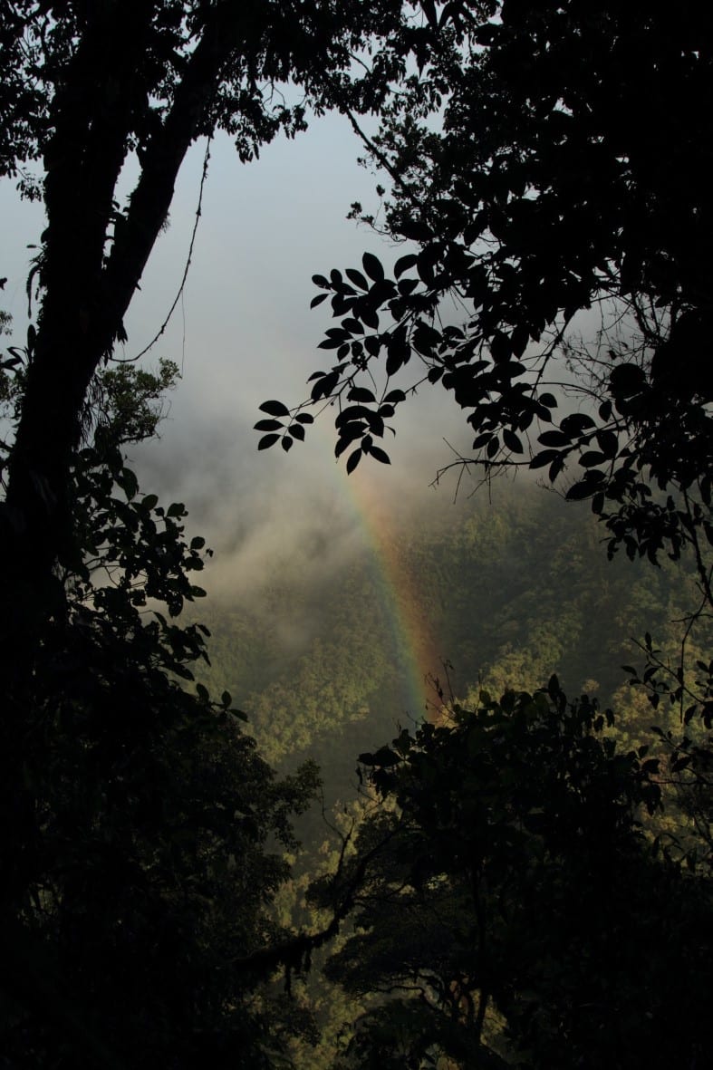 From Camp 2, rainbow emerges after the rain from the Sevishari river valley. (Photo Maira Duarte)
