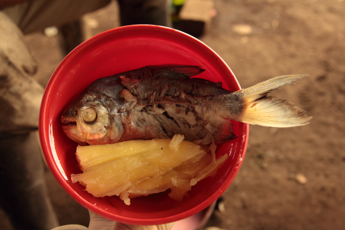 Baked piranha and manioc. (Photo Maira Duarte)