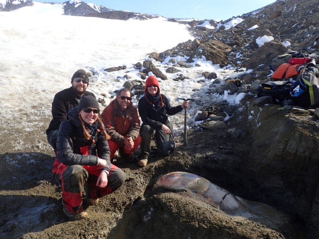 Project G-291-N’s discovery of one of the largest inoceramid clams ever reported, in Late Cretaceous sediments of Dreadnought Point. From left to right, Amy Westman (ASC MLT), Tom Tobin (invertebrate paleontologist), Jim Fanjoy (ACHI Pilot), and Cara Ferrier (ASC Field Camp Supervisor).