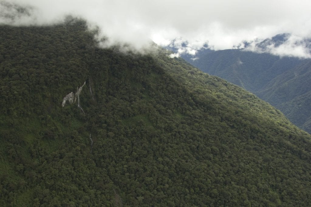 Waterfalls drain the wet cloud forests of Vilcabamba (Photo Maira Duarte).