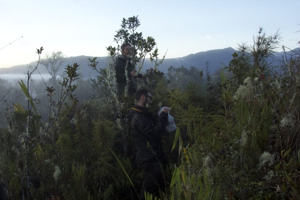 Journalist Andy Isaacson and herpetologists Dr. Santiago Castroviejo taking pictures from the ridge during one rare moment when the sky was clear. (Photo José Padial).