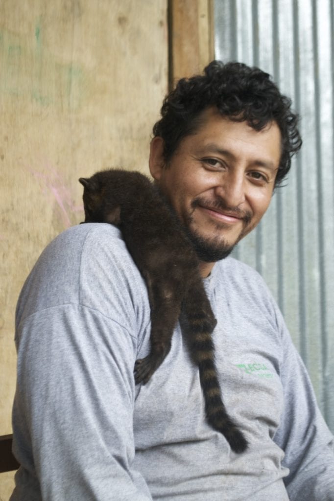 At Marontuari, Roberto Gutierrez plays with a baby coati. (Photo Santiago Castroviejo).