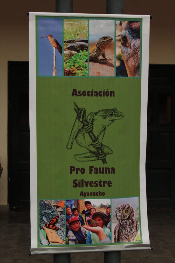 A poster of the non-profit Pro Fauna Silvestre Ayacucho, signaling the event.