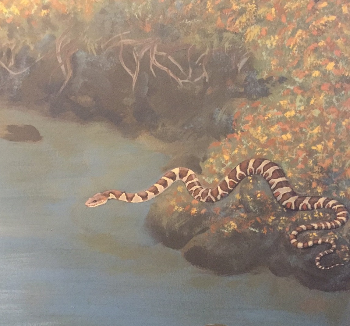 North American Wildlife Mural Snake