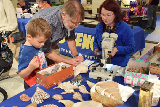 Scientists with child helping to identify shells 