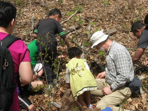 Children with Dr. Pearce digging in the leaves