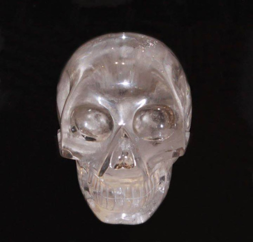Hard head Fred skull