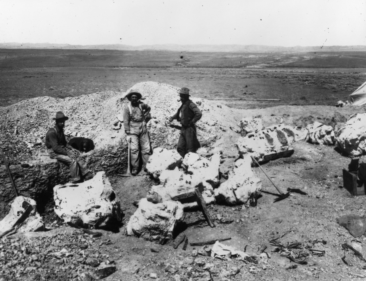 Paleontologists in Sheep Creek