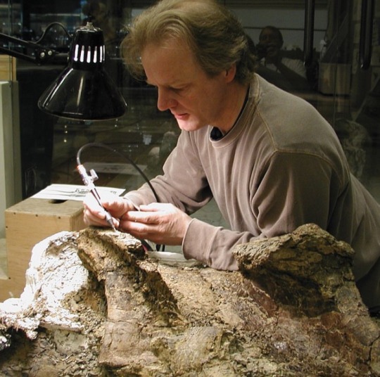 Dan Pickering working on fossil