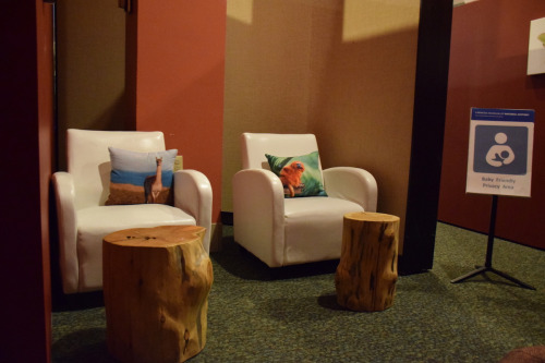Breastfeeding area with couches and chairs