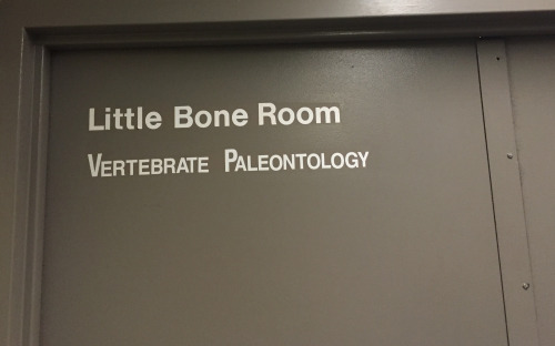Little bone room door
