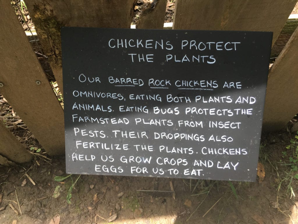 sign explaining that chickens eat both bugs and plants