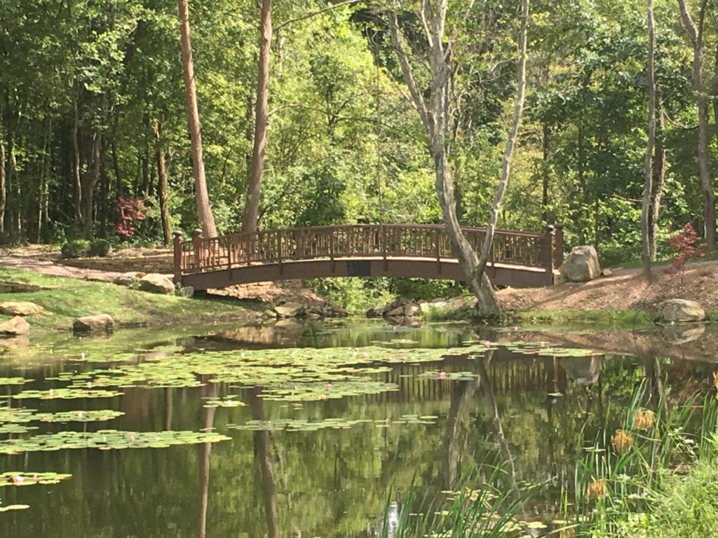Bridge over lotus pond
