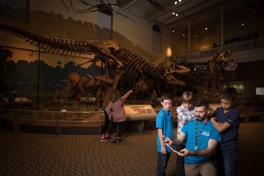 Visitors in Dinosaurs in their Time