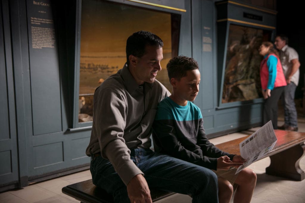 adult and child reviewing a museum map