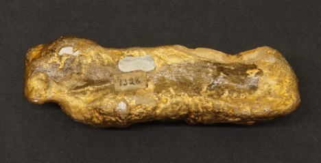 back of gold nugget