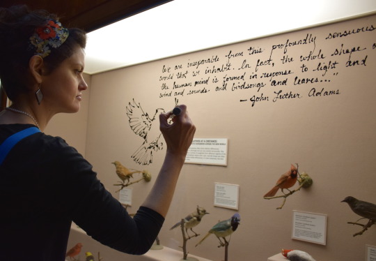 Ashley Cecil writing poetry on glass in front of bird taxidermy