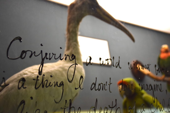 poetry written on glass in front of stork