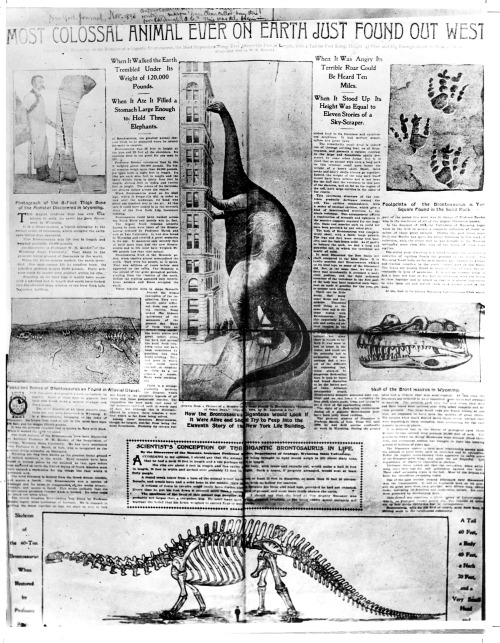 Newspaper report of "most colossal animal ever on earth"