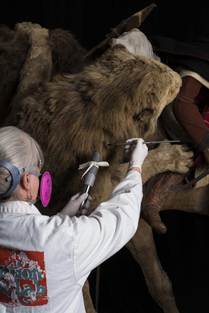 Restoring Lion Attacking A Dromedary