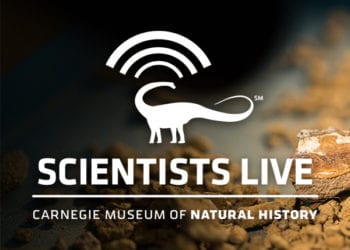 Scientists Live logo