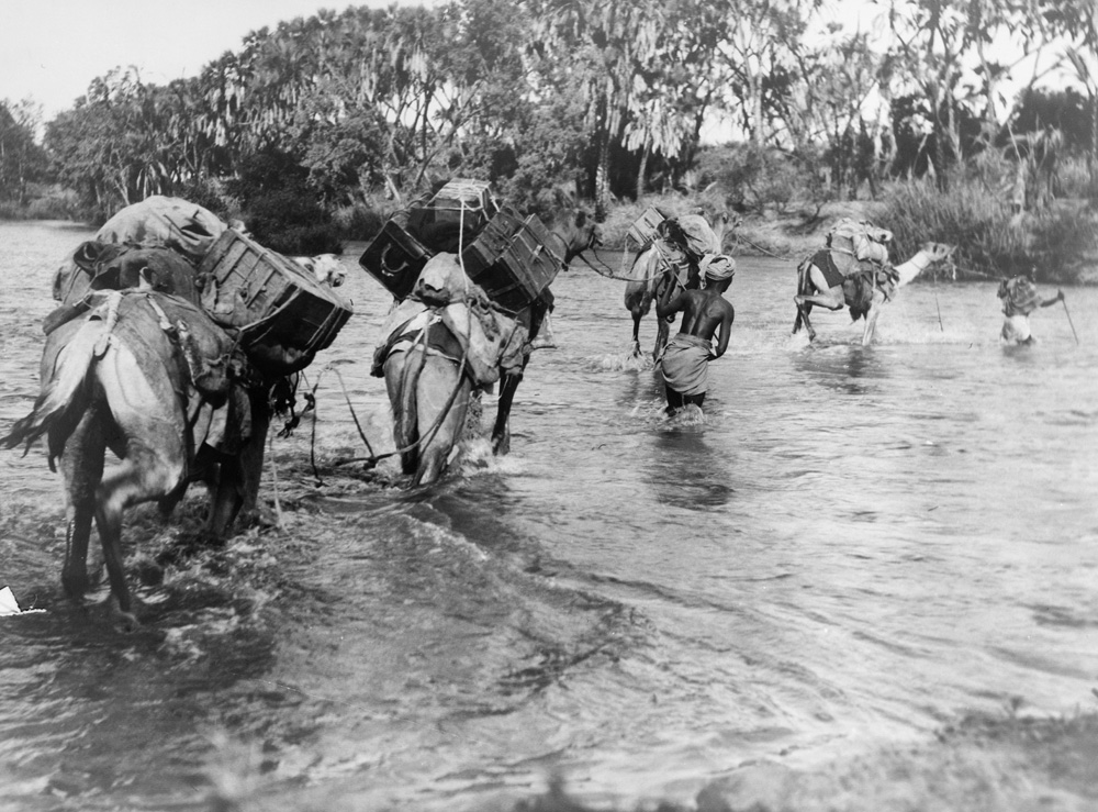 people and camels crossing a river in 1912