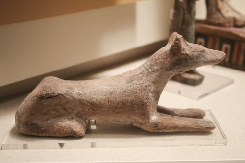 The Jackal Or Jackal Headed Deity Anubis Carnegie Museum Of Natural