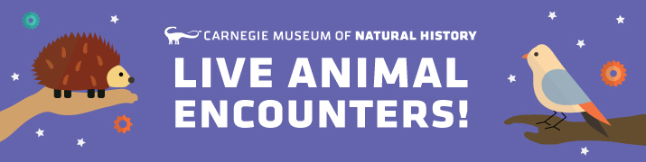 live animal encounters banner