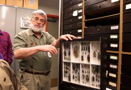 Collection Manager Bob Davidson shared pieces of the Invertebrate Zoology collection.