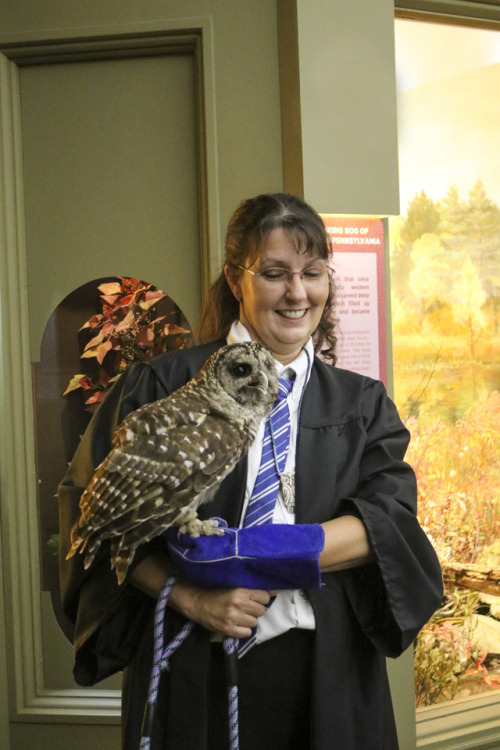 live barn owl with a handler dressed as a Harry Potter character 