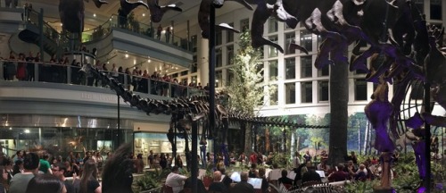 live music being performed in Dinosaurs in their Time