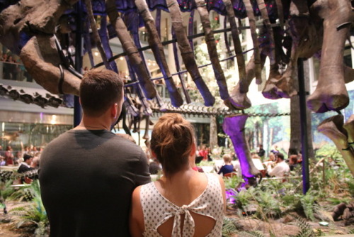 Visitors looking up at a dinosaur 