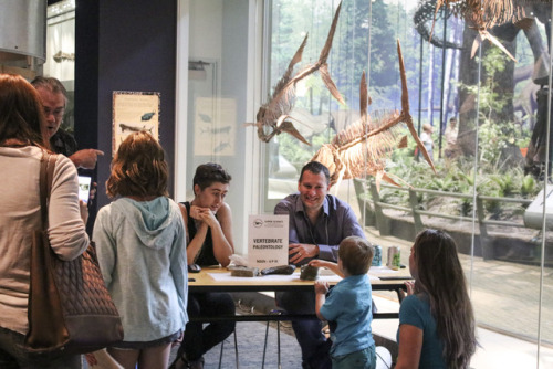 visitors meeting our dinosaur experts