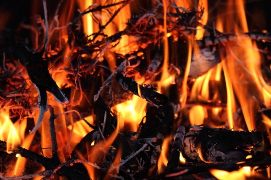closeup of a fire