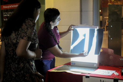 students looking at x-rays