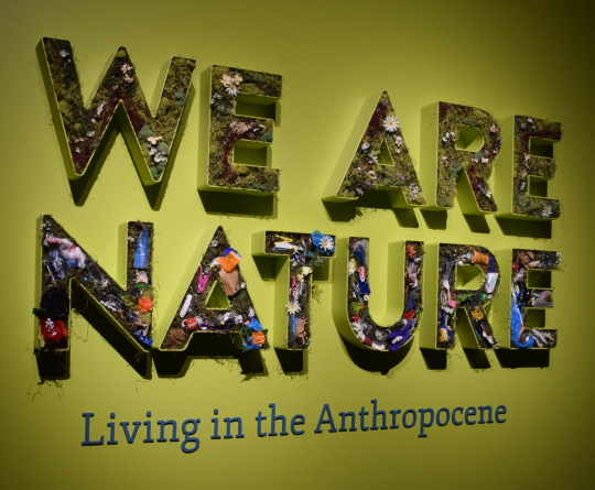 3D letters spelling we are nature in a combination of plants and trash