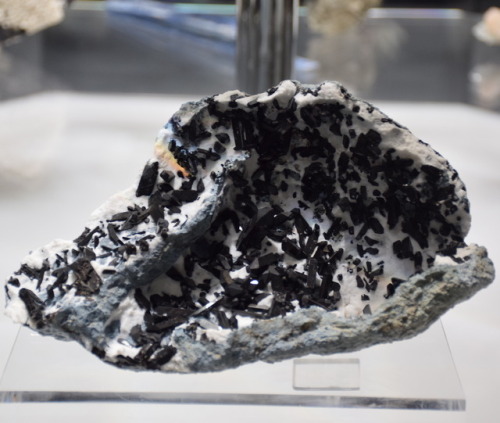 Neptunite on Natrolite, a black and white mineral aggregation