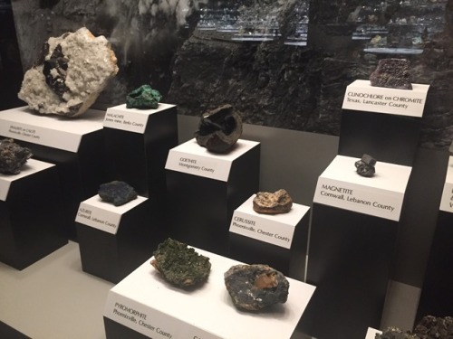 display case full of different minerals