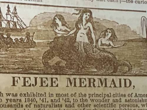 poster featuring FEJEE MERMAID