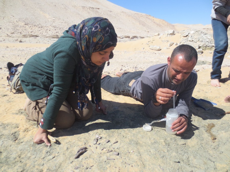 two researchers working in the sand