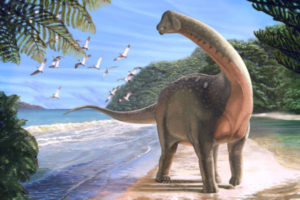 illustration of a sauropod on the beach