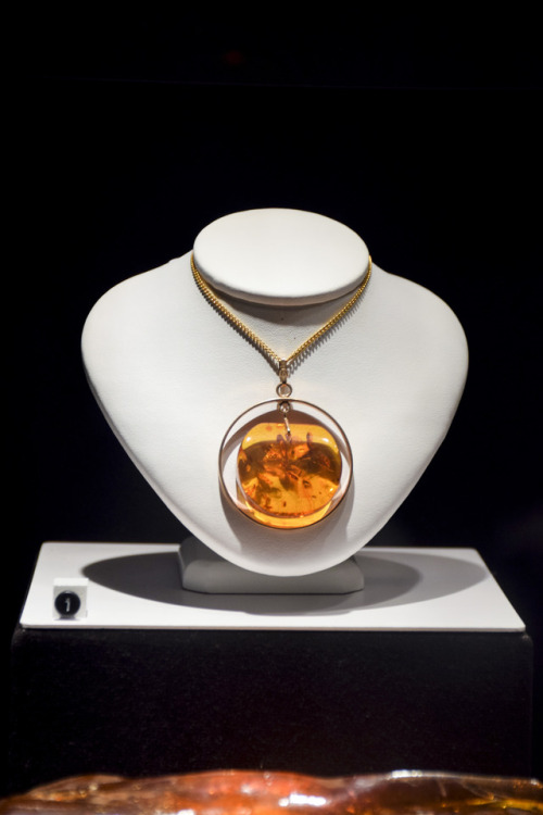 large amber necklace displayed in a gallery