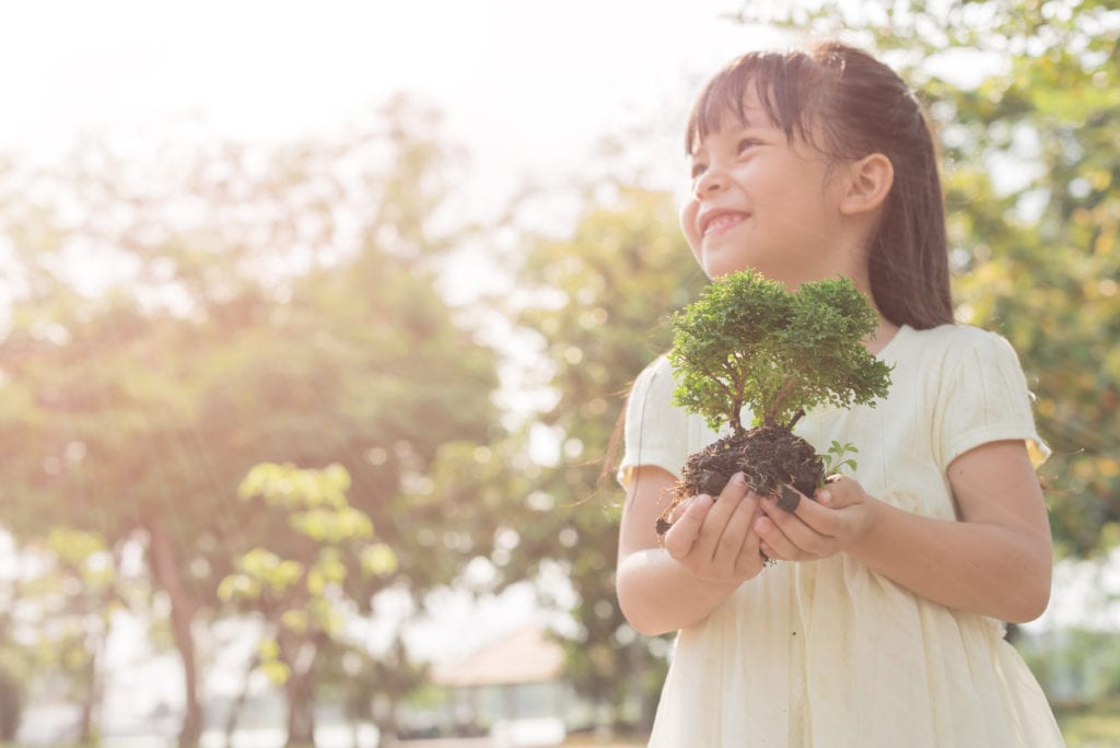 girl holding a seedling tree