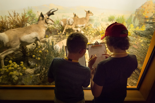 Students looking at a diorama and writing on clipboards