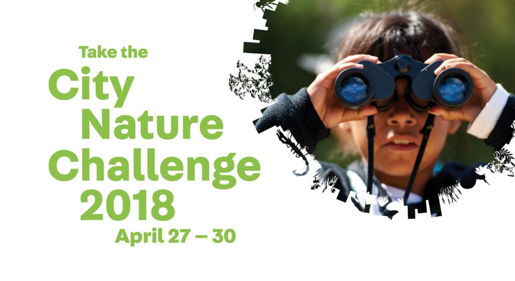 Take the City Nature Challenge 2018 April 27 - 30