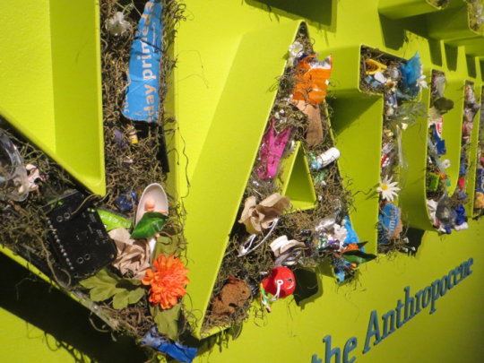 A colorful wall with 3D letters spelling We Are Nature