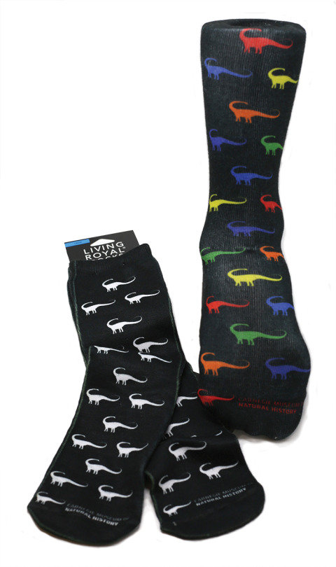 Socks with Dippy logo