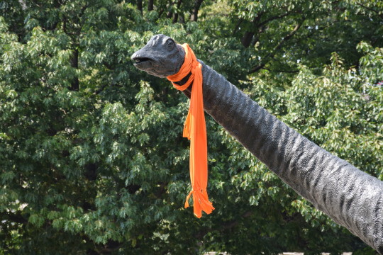 Dippy in an orange scarf