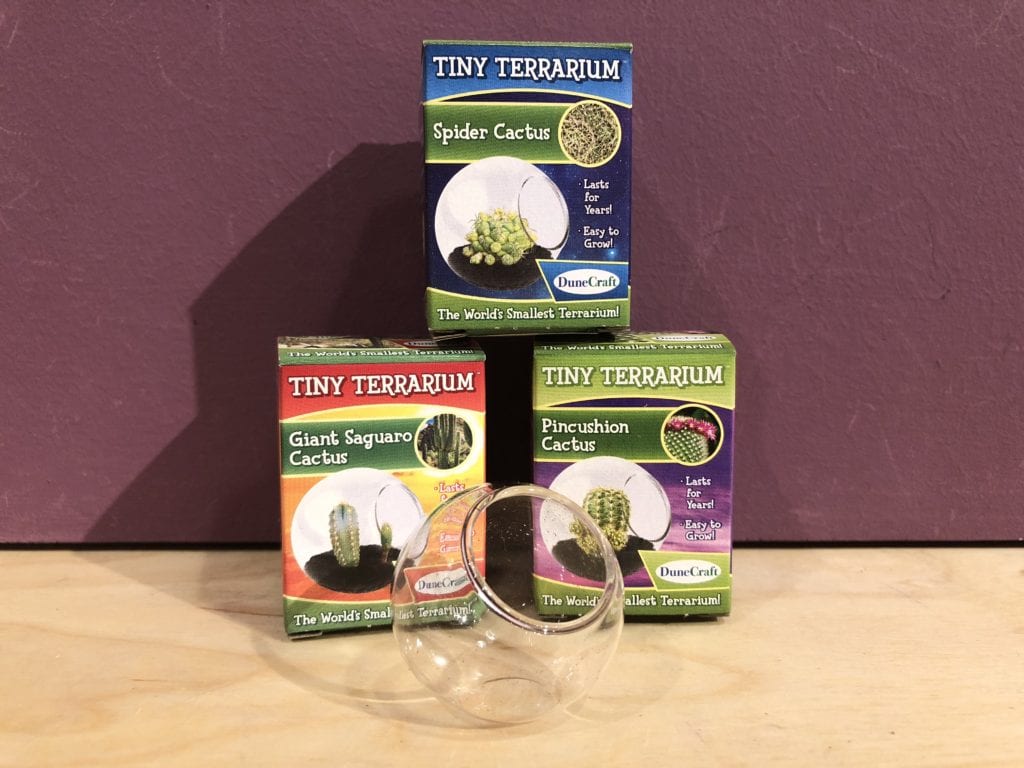 tiny terrarium
